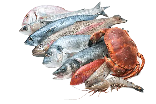 fish